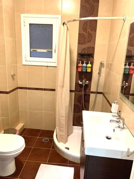 אתונה Spacious 4-Bedroom Family Home, 100M From Metro מראה חיצוני תמונה